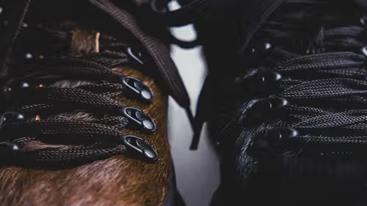 Perpaduan Craftsmanship Italia dan Estetika Avant-Garde dalam DIEMME x BEAMS "Cornaro Due Gomma"